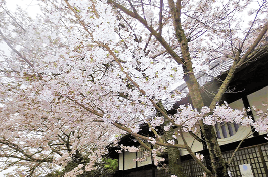 信行寺